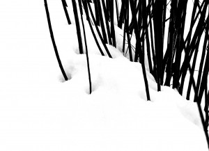 Abbas-Kiarostami,-Ohne-Titel-(Fotografie-aus-der-Serie-Snow-White),-1978.-Privatsammlung.-Courtesy-Stiftung-Situation-Kunst,-Bochum_web.jpg