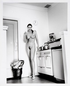 Domestic-Nude-Hollywood-1.jpg