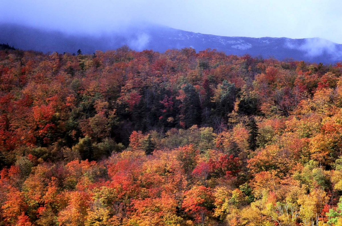 Landscape Gic1011 Fall In New Hampshire LFI Gallery
