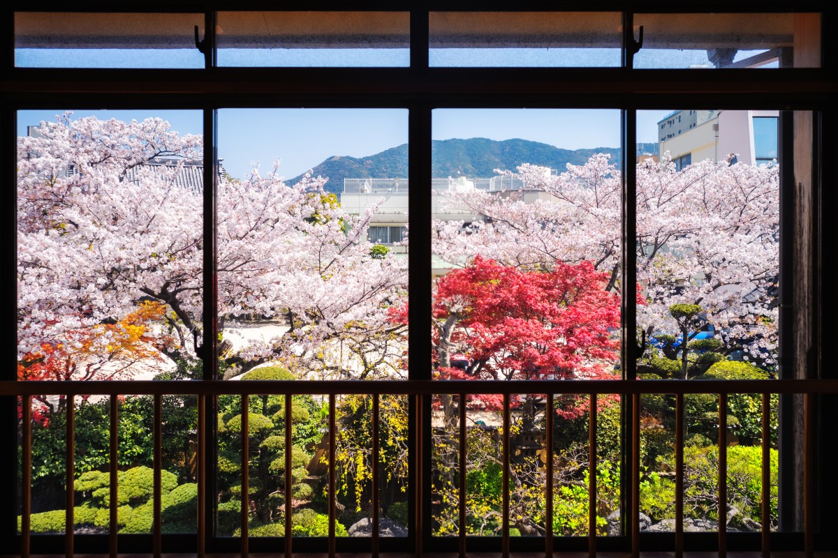 Tadashi Nishimura - Japan 日本 / View through The Window | LFI Gallery