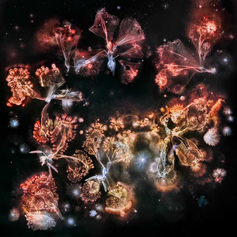 Microverse 1