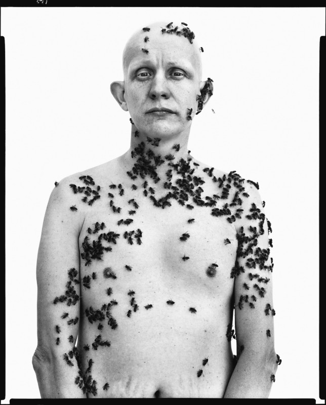 100 Ronald Fischer, beekeeper, Davis, California, May 9, 1981