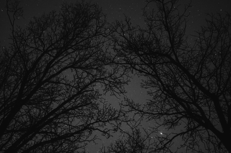 011 ROMA3040_1LR