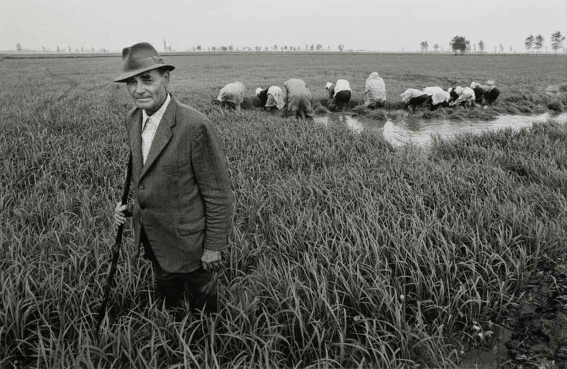 0008-05_Berengo-gardin-117