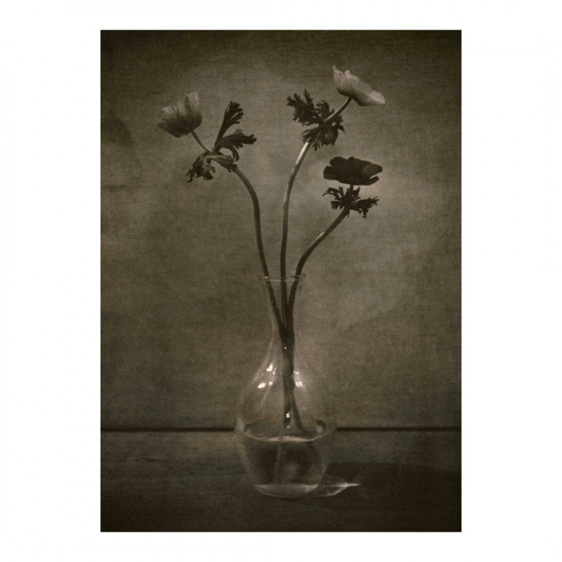 copyright Ayako Takaishi, ohne Titel