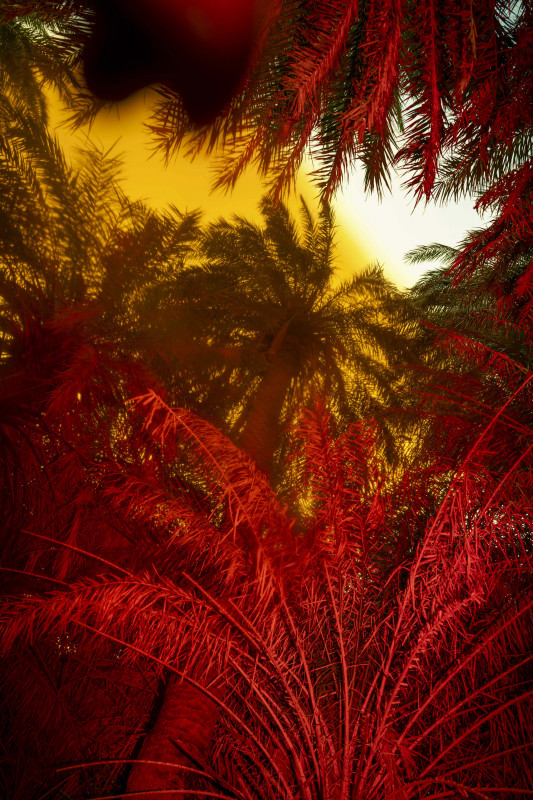 WHERE THE GODS FALL_ALISA MARTYNOVA_34