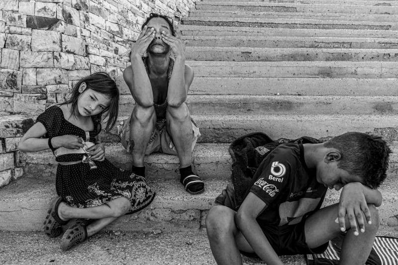 LOBA_CEGARRA008