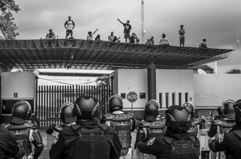 LOBA_CEGARRA016