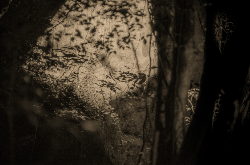 L1004622-Edit-2-Edit