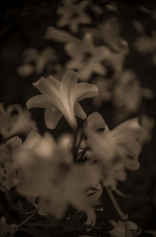 L1009171-Edit-2-Edit-2