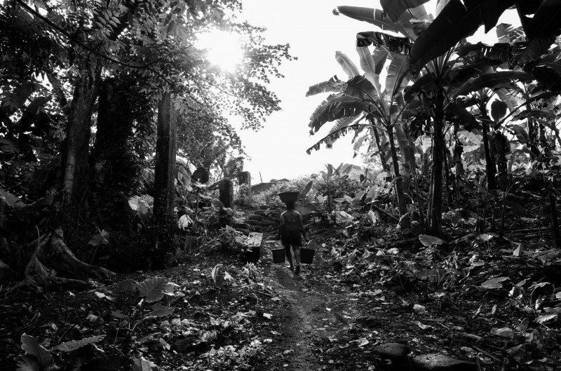 Felix Barth-Vollmann for LFI Blog  - Independent of the light -11