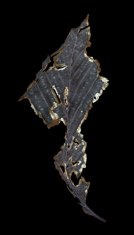 KINTSUGI01