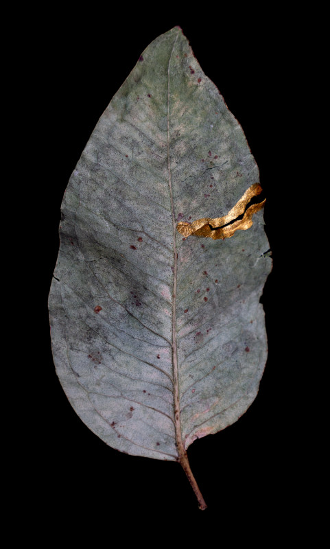 KINTSUGI05
