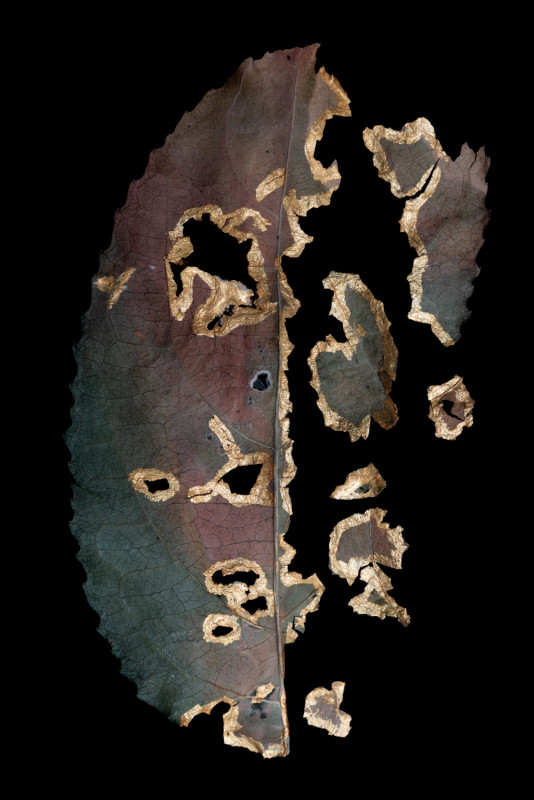 KINTSUGI10