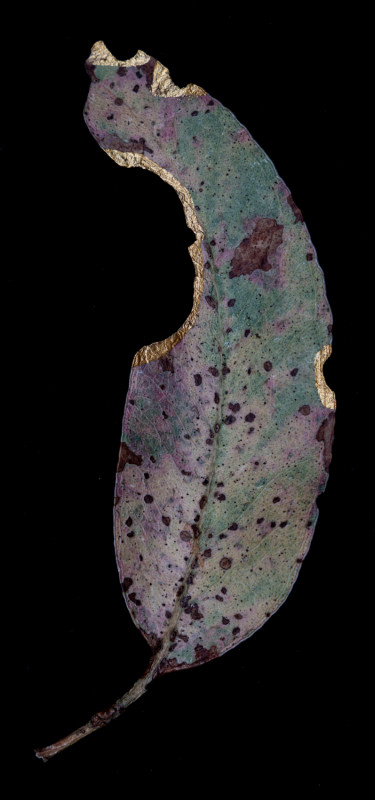 KINTSUGI06