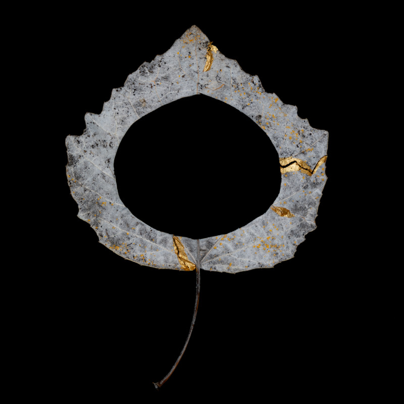 KINTSUGI04