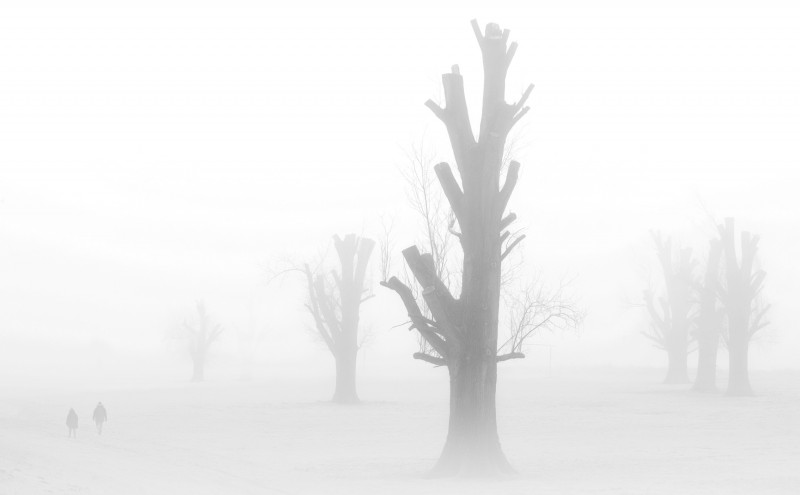 Natur_06