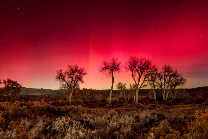 Natur_09