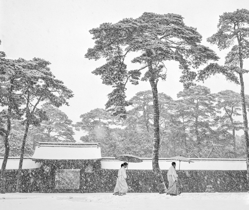 Meiji Shrine, 1951  ©Werner Bischof Estate, Magnum Photos-Press