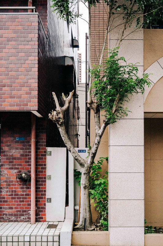 Pierre&Florent_Japan_03