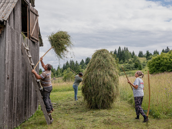 Haystacks-3