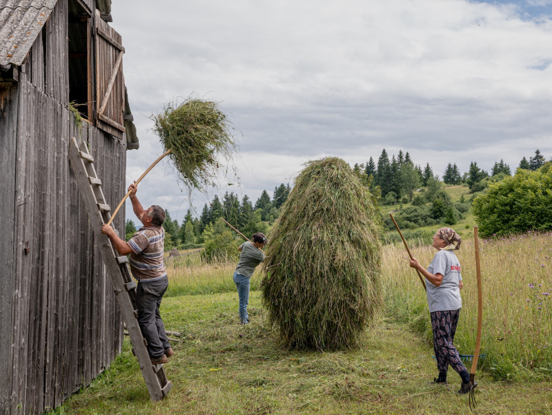 Haystacks-3