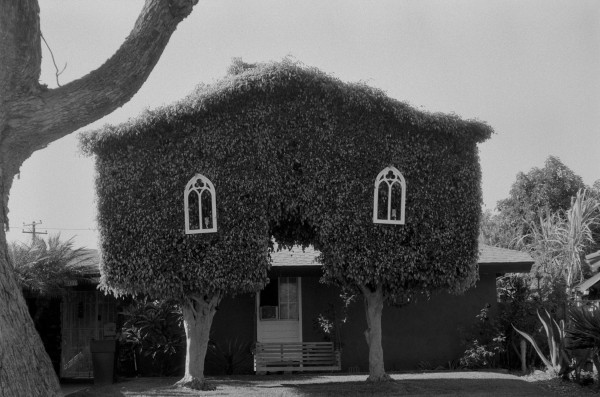 kentmere pan 100 leica iiif_Armand Baclay(8)