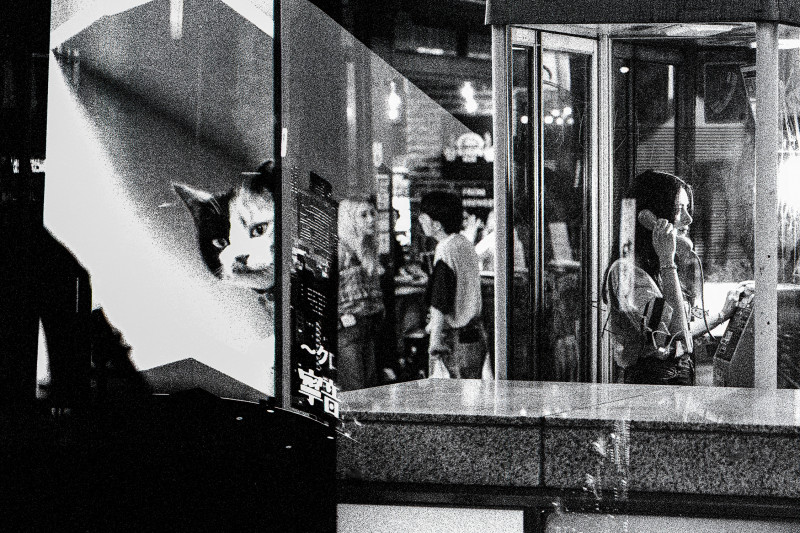 Bill Lai