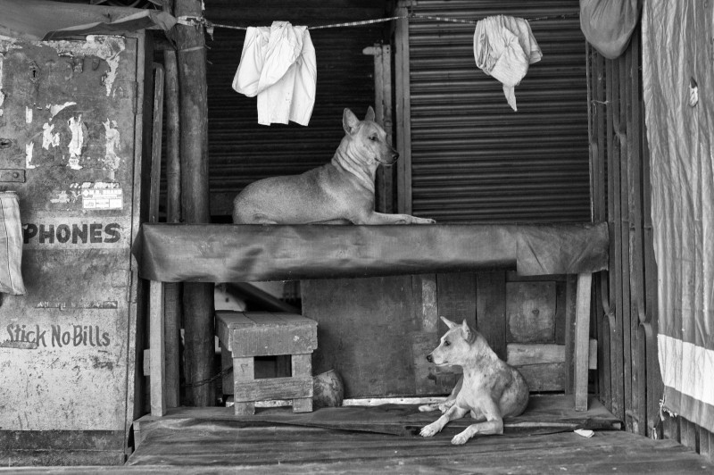 Mumbai, 2013