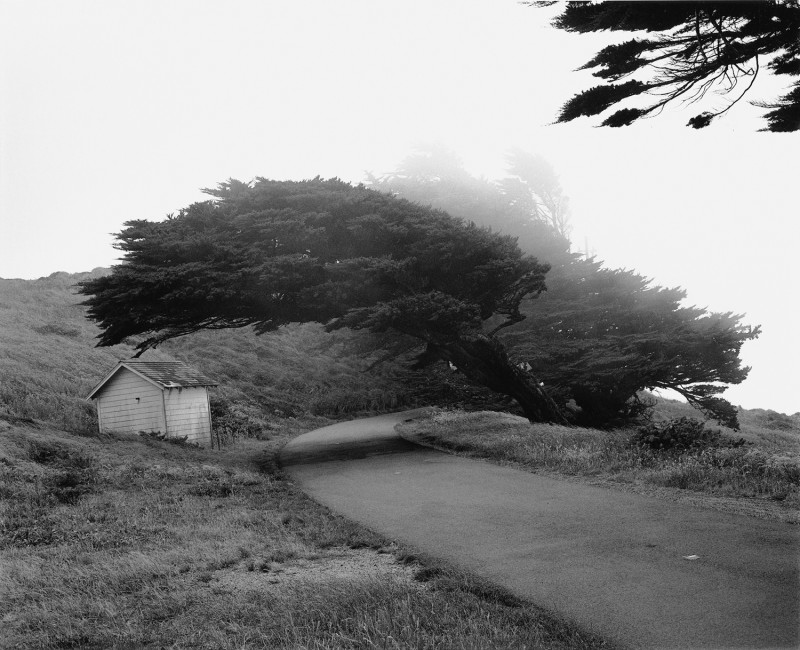 Christa Mayer Point Reyes, Kalifornien, USA 2006
