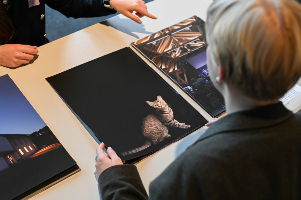 Portfoliosichtung_Anna_Högerle_6