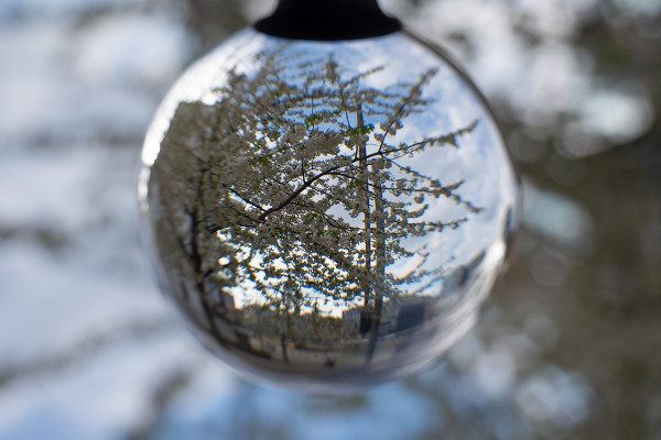 lensball_tfh_1_P1150374_low