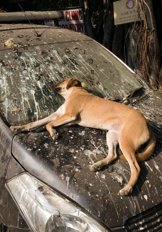 florian-e-j-lang_searching-for-comfort_13