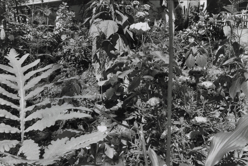 John Gossage-Gardens-1978_courtesy Large Glass