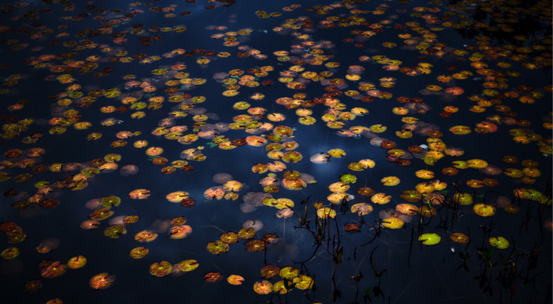 Yasuhiro Ogawa, Autumn Water, Japan, 2019, courtesy Gallery Buchkunst Berlin