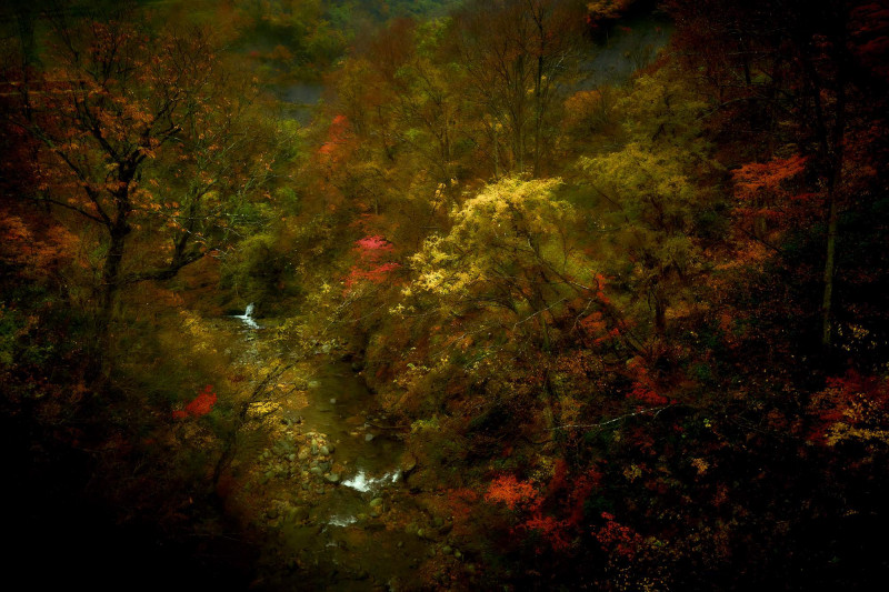 Yasuhiro Ogawa, Lost in Kyoto, Yellow Gorge, Japan, 2022, courtesy Gallery Buchkunst Berlin