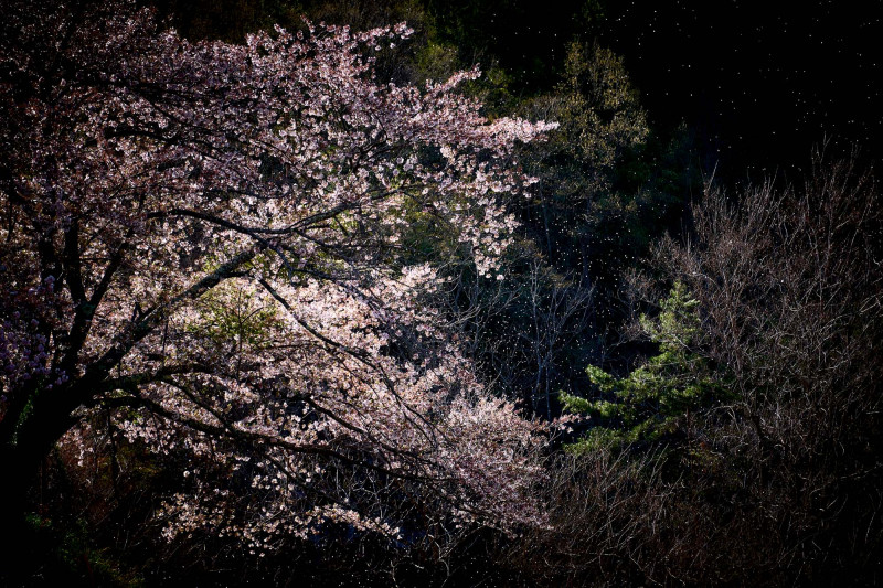 Yasuhiro Ogawa, On a Windy Day, Japan, 2016, courtesy Gallery Buchkunst Berlin