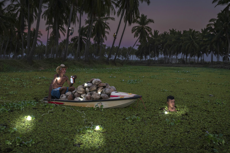 HZ26_Postplatz_©RubenSalgadoEscudero_36_01_C oconut Picker_DSC04065-Topaz-Presse