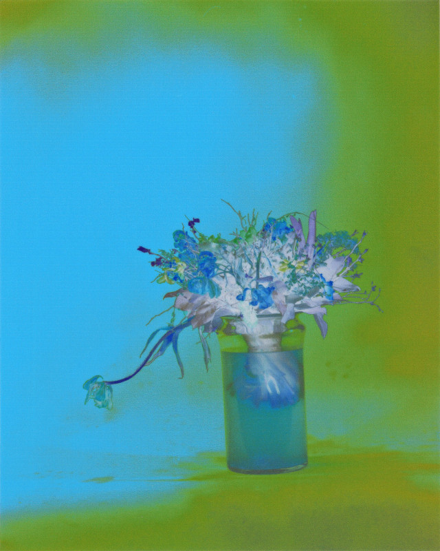 02_CF No_2 Blauer Strauss_2012_a.d.S._Crazy Flowers_c_Walter Schels_Stiftung FC Gundlach