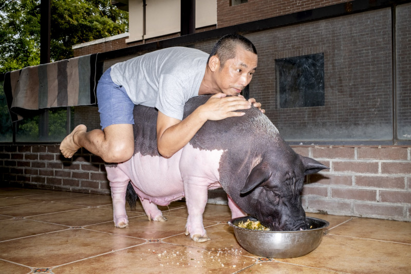 FF26_Feng Li_Main Program_Pig_02