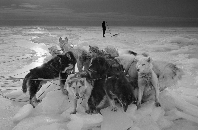 05_Ragnar_Axelsson_KANGERTITTIVAQ FJORD-GREENLAND-HUNTER ON THE SEA ICE