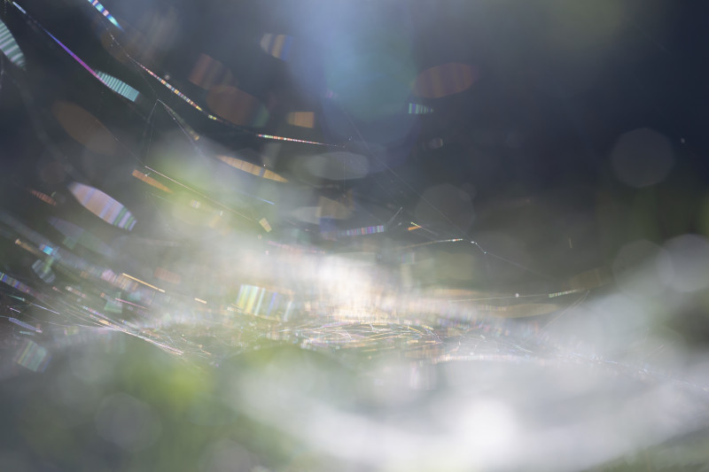 20180908-4F4A0600