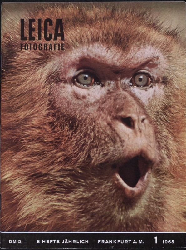 issue_1965_01_de-cover