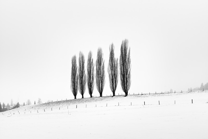 13 Urs Hintermann - Winter Landscape M240