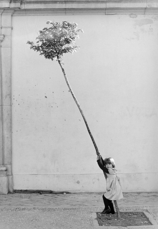 Petite fille, petite arbre, Espagne,1981©Sabine Weiss