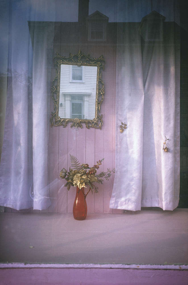 LFI | Stories | Joel Meyerowitz | Book tip: Wild Flowers