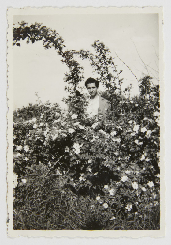 Florya, Istanbul, 1948 ©  Ara Güler, Ara Güler Museum
