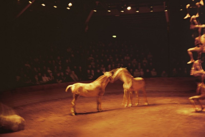 adk_KKP22_Nan Goldin_Horse Circus