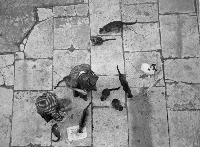 2_OrkinWomenfeedingcats.Rome