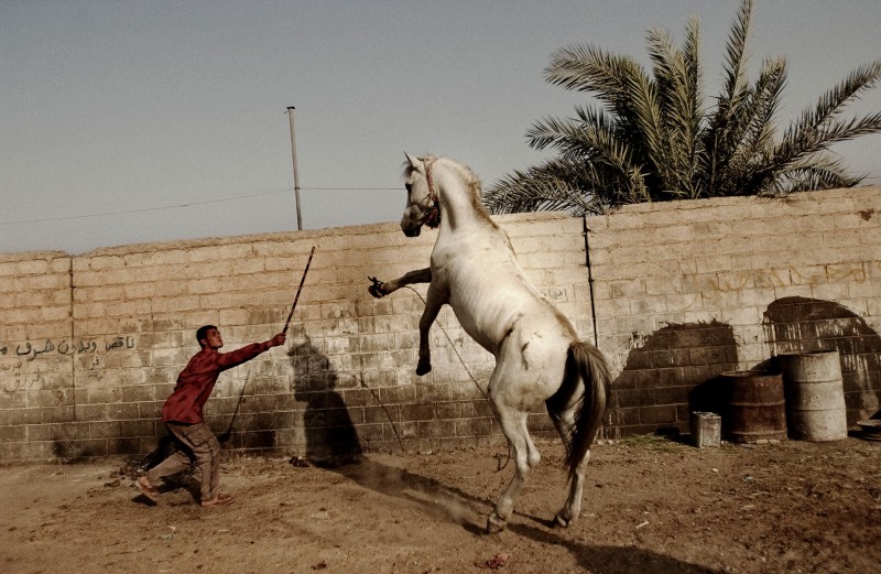 Moises Saman_Taming a Horse_2004_web